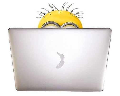 Minion Soft Logo